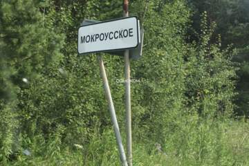 Дом, 33 м², 1 эт.