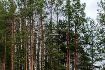 Ведение садоводства, 6 сот.