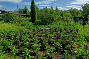 Ведение садоводства, 623 м²